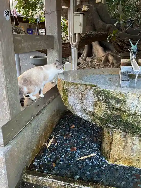 八大龍王水神(宮崎県)