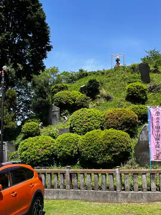 敷島神社(埼玉県)