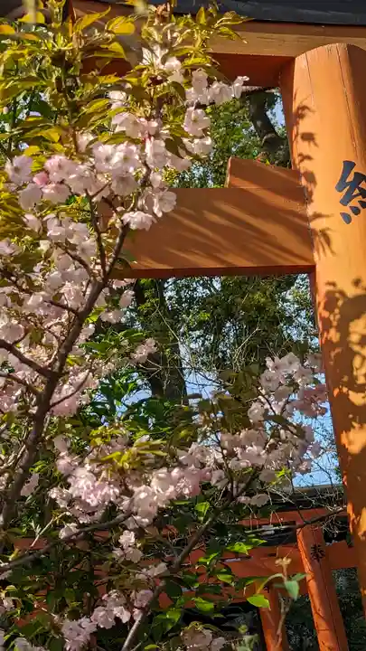 平野神社(京都府)