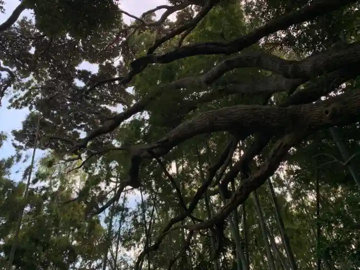 秋葉神社の自然