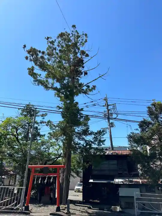 弁財天(山梨県)