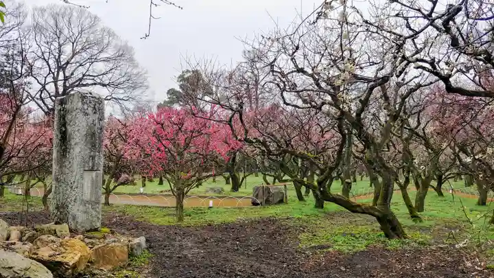 北野天満宮の庭園
