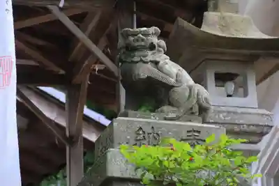 和田神社の狛犬