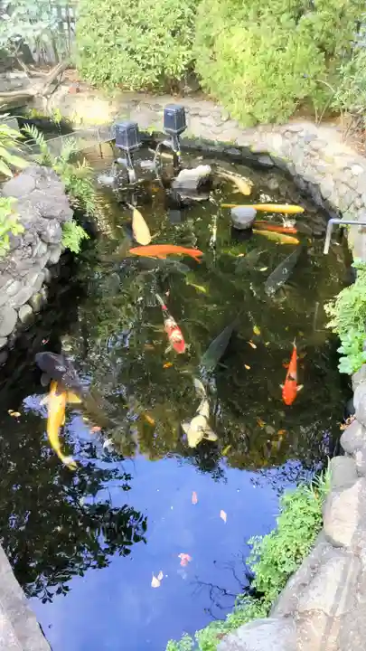 天祖諏訪神社(東京都)