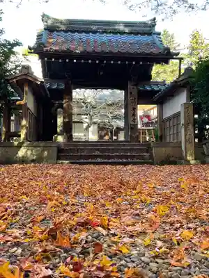 吸湖山　青岸寺の山門・神門