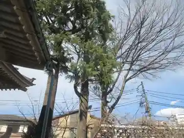 法善寺(東京都)