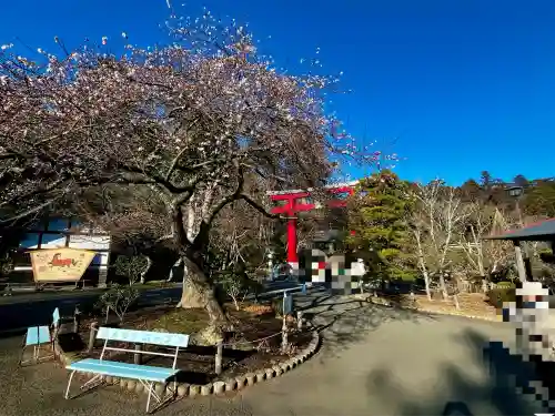 志波彦神社・鹽竈神社(宮城県)