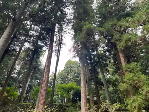 大宮温泉神社(栃木県)