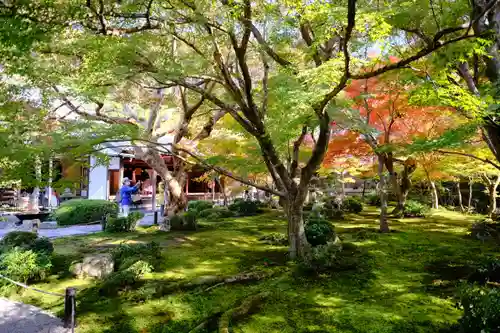 圓光寺の庭園