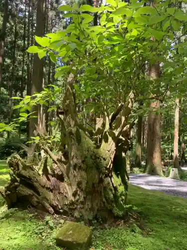 御岩神社(茨城県)