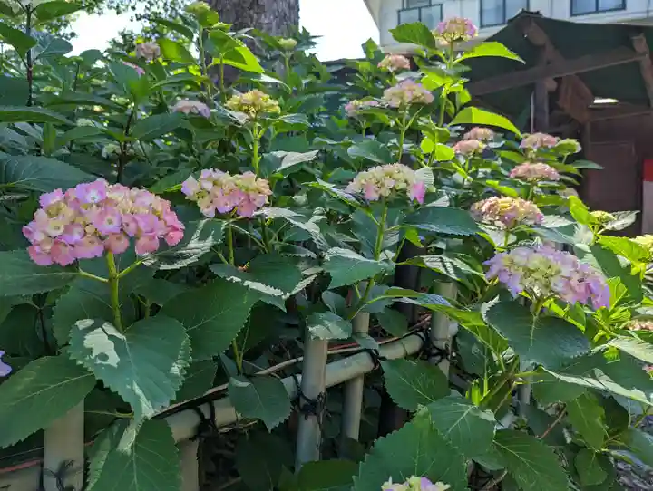 藤森神社(京都府)