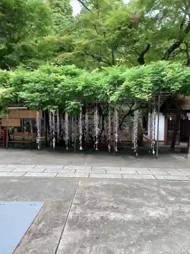 神場山神社の自然