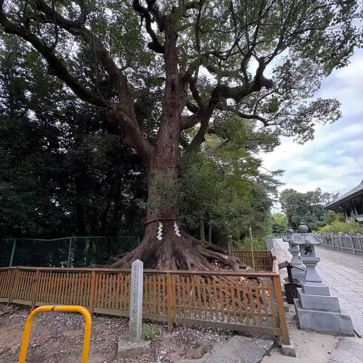 和泉國一之宮 大鳥大社(大阪府)