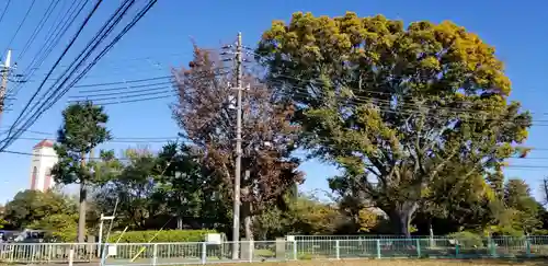 庚申神社のその他建物