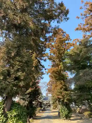 横瀬神社のその他建物
