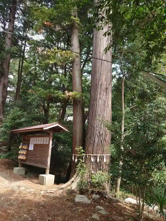 鎌形八幡神社の自然