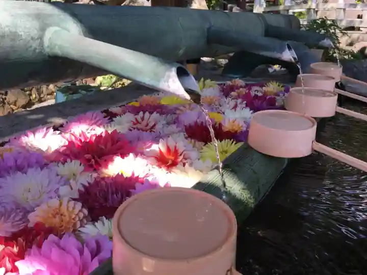 岡寺(龍蓋寺)の手水舎