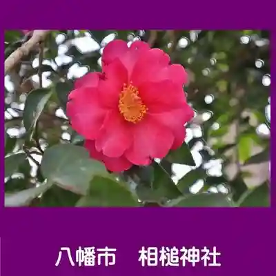 相槌神社の自然