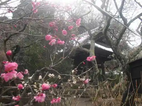 東慶寺の自然