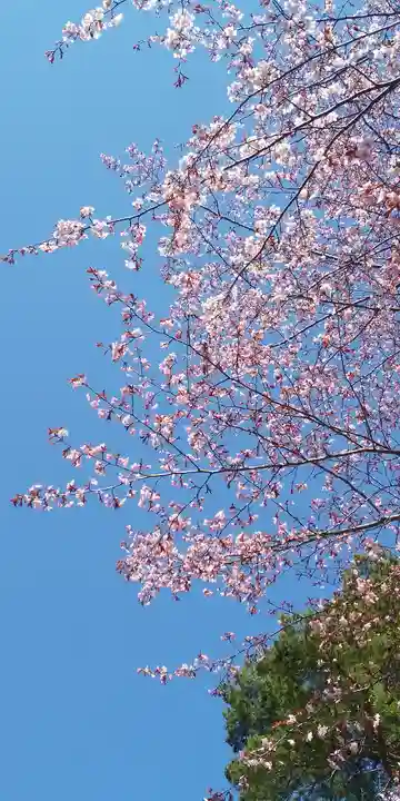 北海道護國神社の自然