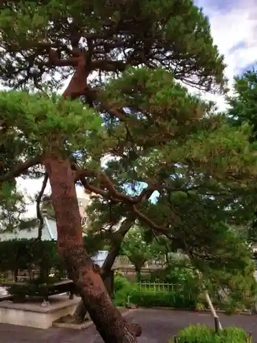 光明院(東京都)