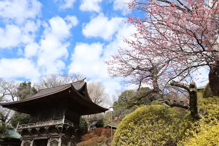 等覚院(神奈川県)