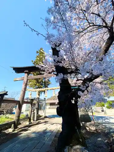 山家神社の自然