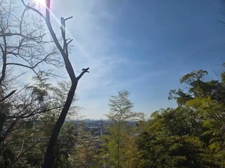 南條神社(大阪府)