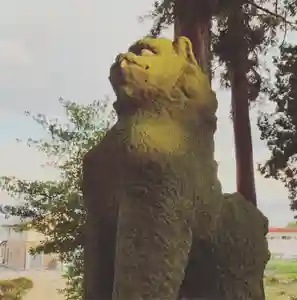 豊景神社の狛犬(2020年03月24日(火) 06時25分12秒投稿)