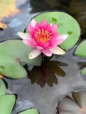太融寺(大阪府)