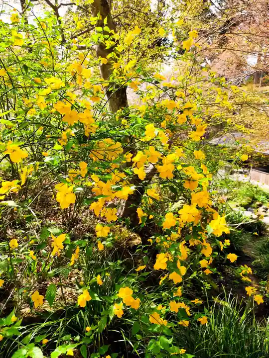 三千院門跡(京都府)