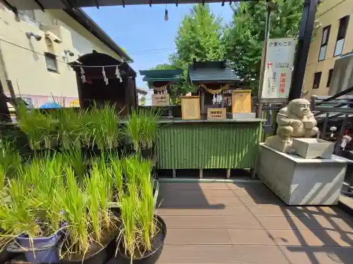 菊名神社(神奈川県)
