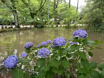 子安神社(千葉県)