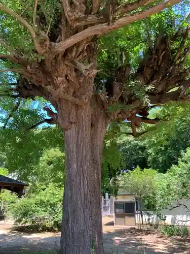 瀧水寺(千葉県)