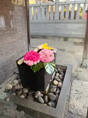 上尾御嶽神社の手水舎