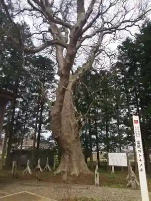 光清寺(山形県)