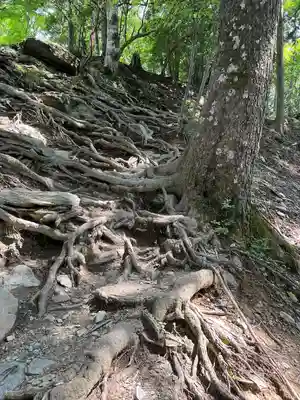 三峯神社奥宮(埼玉県)