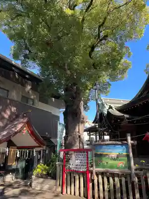 五方山熊野神社(東京都)