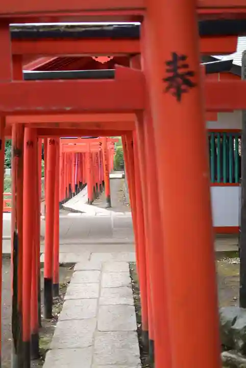 乙女稲荷神社の鳥居