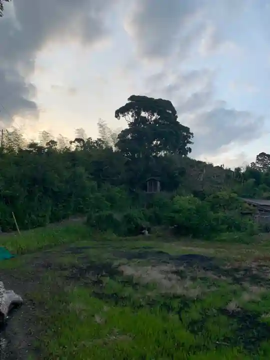 弁財天(千葉県)