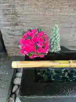 上尾御嶽神社の手水舎