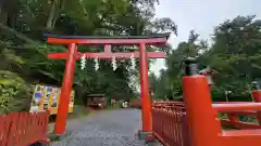 神橋(二荒山神社)の鳥居