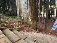 大宮温泉神社(栃木県)