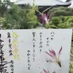 谷中 妙福寺の御朱印