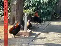 助松神社(大阪府)