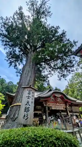 北口本宮冨士浅間神社(山梨県)