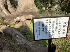 妻沼聖天山歓喜院の歴史