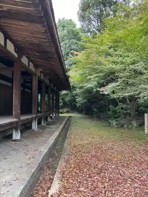 法界寺(日野薬師)の自然