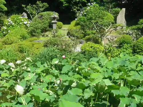 光明寺の庭園