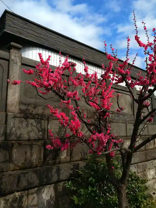 成田山深川不動堂(新勝寺東京別院)(東京都)